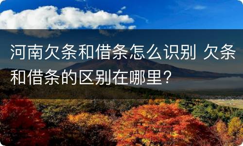 河南欠条和借条怎么识别 欠条和借条的区别在哪里?