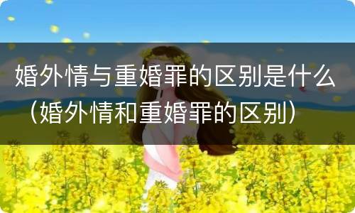 婚外情与重婚罪的区别是什么（婚外情和重婚罪的区别）