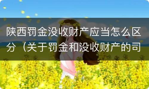 陕西罚金没收财产应当怎么区分（关于罚金和没收财产的司法解释）