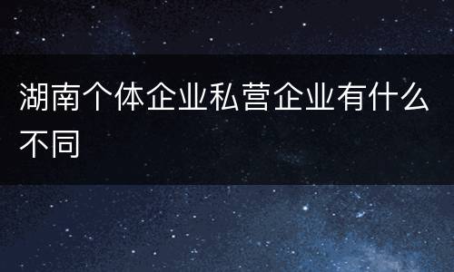 湖南个体企业私营企业有什么不同