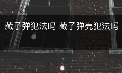 藏子弹犯法吗 藏子弹壳犯法吗