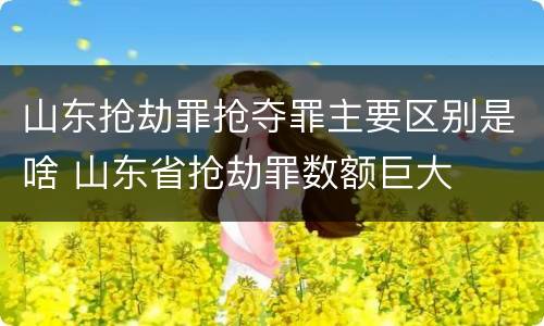 山东抢劫罪抢夺罪主要区别是啥 山东省抢劫罪数额巨大