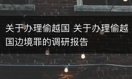 关于办理偷越国 关于办理偷越国边境罪的调研报告