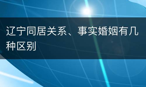 辽宁同居关系、事实婚姻有几种区别
