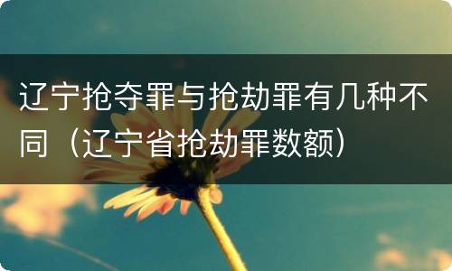 辽宁抢夺罪与抢劫罪有几种不同（辽宁省抢劫罪数额）
