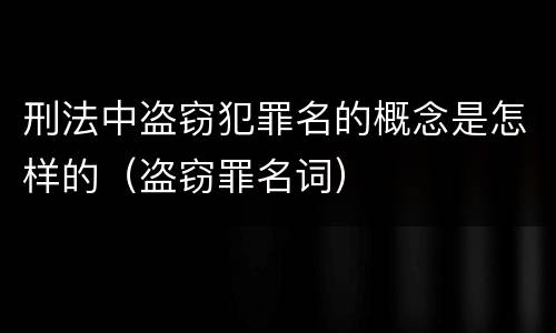 刑法中盗窃犯罪名的概念是怎样的（盗窃罪名词）