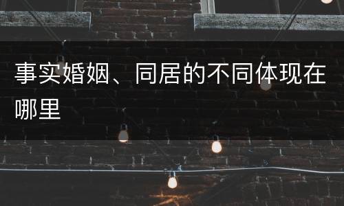 事实婚姻、同居的不同体现在哪里