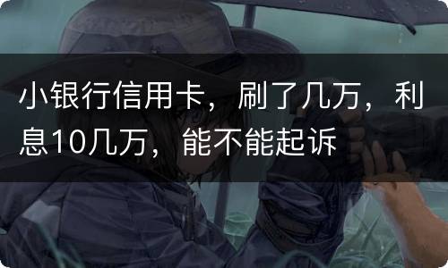 小银行信用卡，刷了几万，利息10几万，能不能起诉