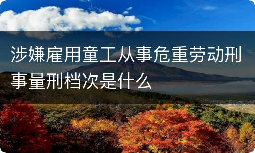 涉嫌雇用童工从事危重劳动刑事量刑档次是什么