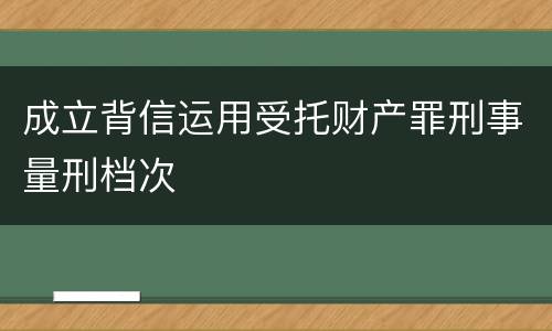 成立背信运用受托财产罪刑事量刑档次