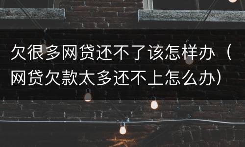 欠很多网贷还不了该怎样办（网贷欠款太多还不上怎么办）