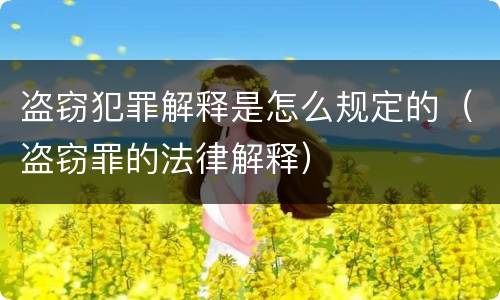 盗窃犯罪解释是怎么规定的（盗窃罪的法律解释）