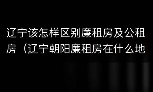 辽宁该怎样区别廉租房及公租房（辽宁朝阳廉租房在什么地方）