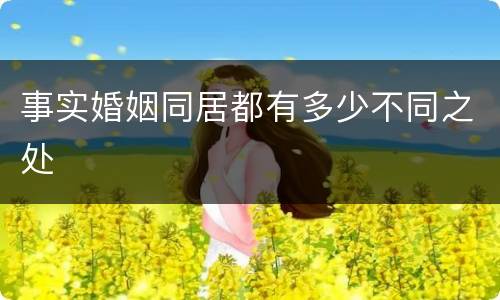 事实婚姻同居都有多少不同之处