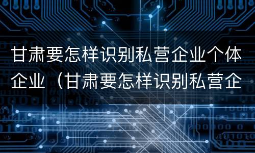甘肃要怎样识别私营企业个体企业（甘肃要怎样识别私营企业个体企业名称）
