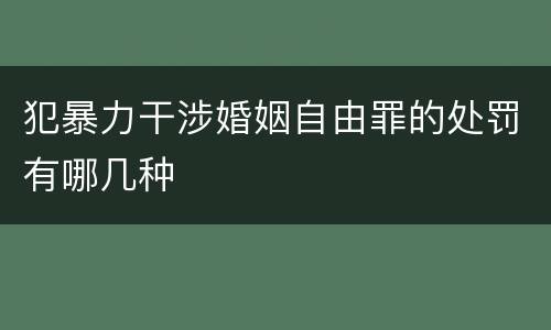 犯暴力干涉婚姻自由罪的处罚有哪几种
