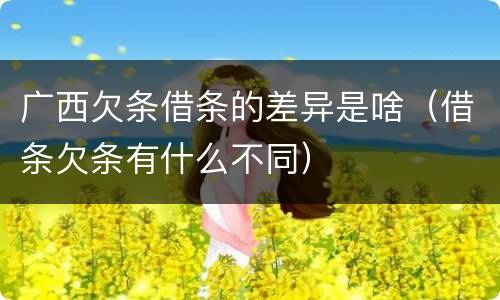 广西欠条借条的差异是啥（借条欠条有什么不同）