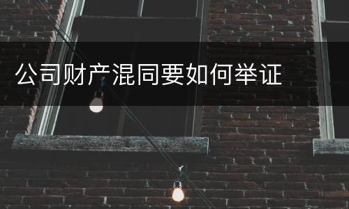 公司财产混同要如何举证