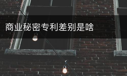 商业秘密专利差别是啥