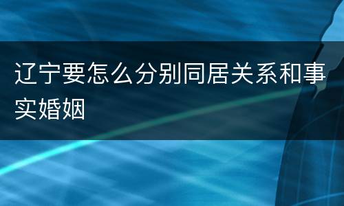 辽宁要怎么分别同居关系和事实婚姻