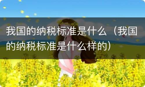 我国的纳税标准是什么（我国的纳税标准是什么样的）