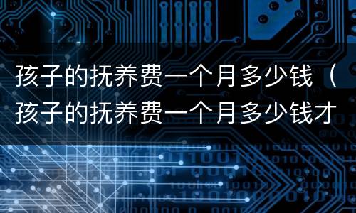 孩子的抚养费一个月多少钱（孩子的抚养费一个月多少钱才够）