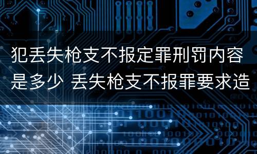 犯丢失枪支不报定罪刑罚内容是多少 丢失枪支不报罪要求造成了严重后果的才构成犯罪