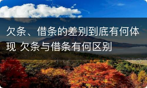 欠条、借条的差别到底有何体现 欠条与借条有何区别