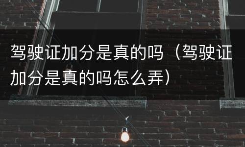 驾驶证加分是真的吗（驾驶证加分是真的吗怎么弄）