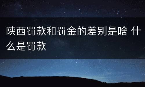 陕西罚款和罚金的差别是啥 什么是罚款