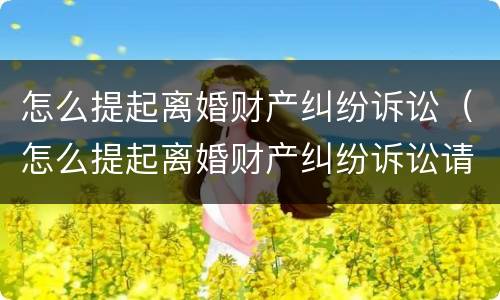 怎么提起离婚财产纠纷诉讼（怎么提起离婚财产纠纷诉讼请求）