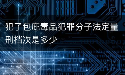 犯了包庇毒品犯罪分子法定量刑档次是多少