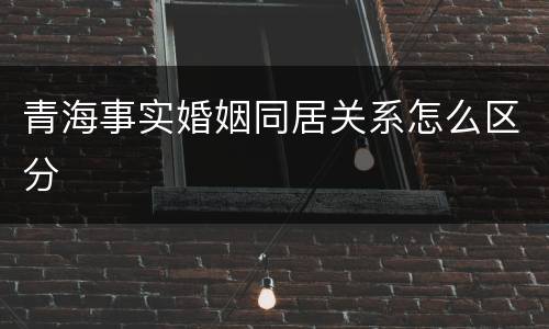 青海事实婚姻同居关系怎么区分