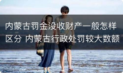 内蒙古罚金没收财产一般怎样区分 内蒙古行政处罚较大数额罚款标准