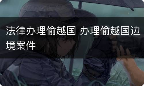 法律办理偷越国 办理偷越国边境案件