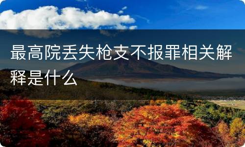 最高院丢失枪支不报罪相关解释是什么