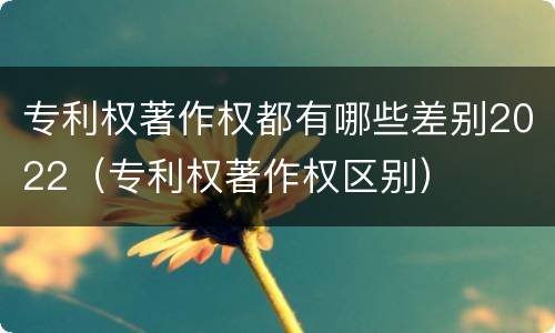 专利权著作权都有哪些差别2022（专利权著作权区别）