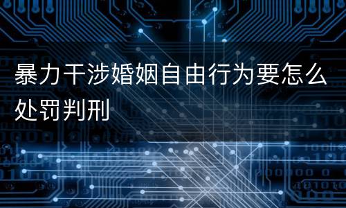 暴力干涉婚姻自由行为要怎么处罚判刑