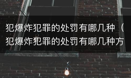 犯爆炸犯罪的处罚有哪几种（犯爆炸犯罪的处罚有哪几种方式）