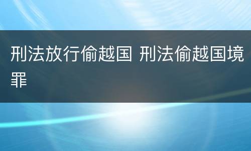 刑法放行偷越国 刑法偷越国境罪