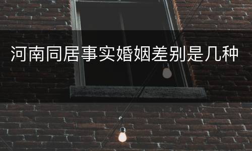 河南同居事实婚姻差别是几种