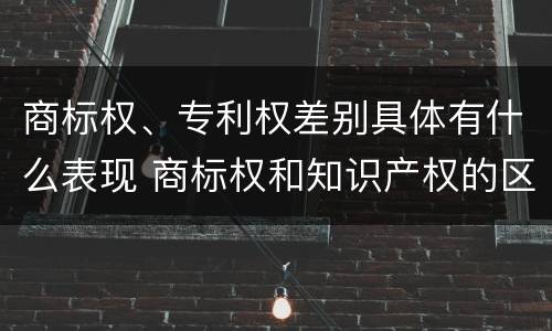 商标权、专利权差别具体有什么表现 商标权和知识产权的区别