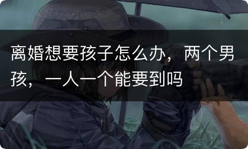 离婚想要孩子怎么办，两个男孩，一人一个能要到吗