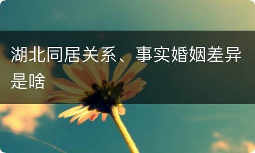 湖北同居关系、事实婚姻差异是啥