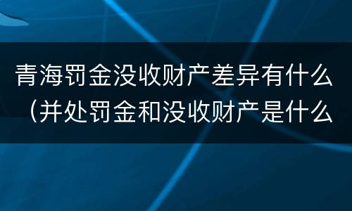 青海罚金没收财产差异有什么（并处罚金和没收财产是什么意思）