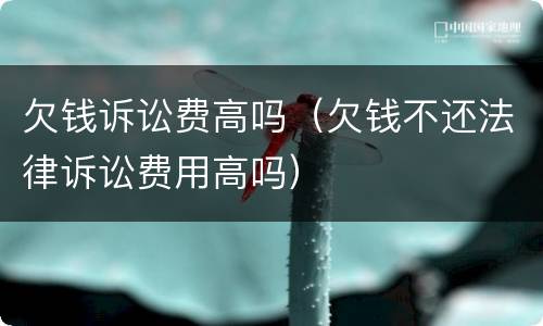 欠钱诉讼费高吗（欠钱不还法律诉讼费用高吗）