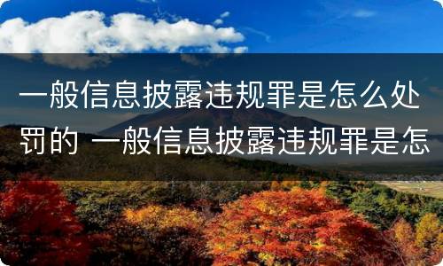 一般信息披露违规罪是怎么处罚的 一般信息披露违规罪是怎么处罚的呢