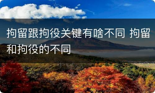拘留跟拘役关键有啥不同 拘留和拘役的不同