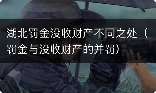 湖北罚金没收财产不同之处（罚金与没收财产的并罚）