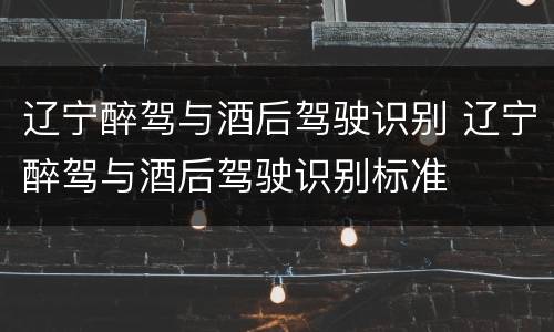 辽宁醉驾与酒后驾驶识别 辽宁醉驾与酒后驾驶识别标准